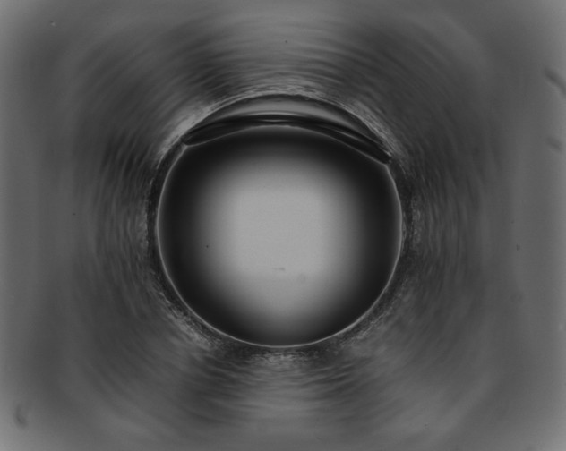 X0000093240834200710031600
