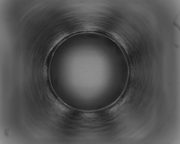 X0000093240835200710031600