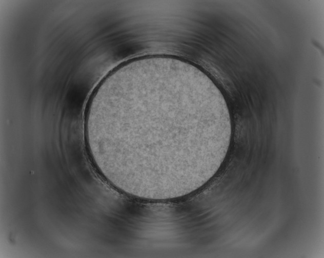 X0000093240836200710031600