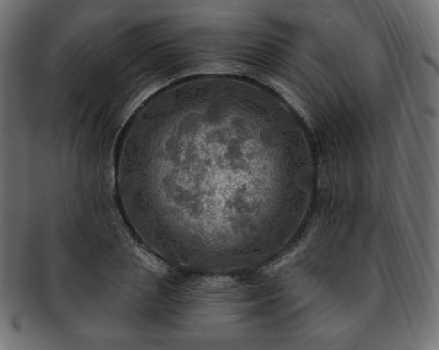 X0000093240837200710031600