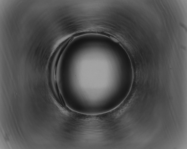 X0000093240838200710031600