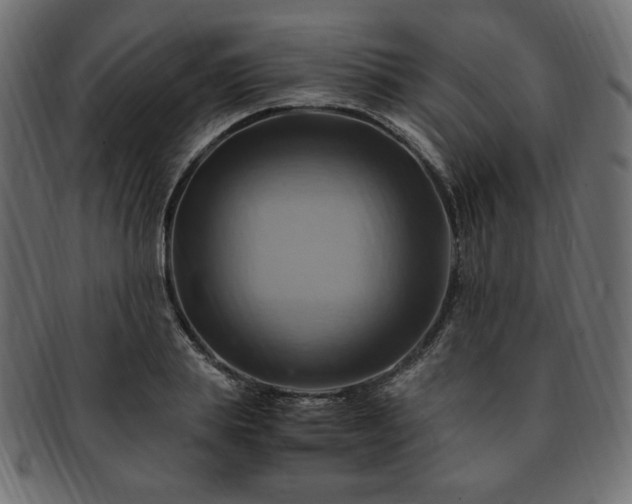 X0000093240839200710031600