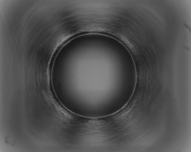 X0000093240840200710031600