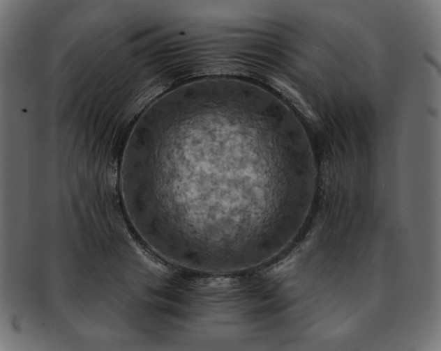 X0000093240841200710031600