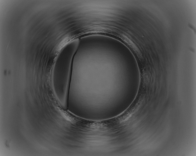 X0000093240842200710031600
