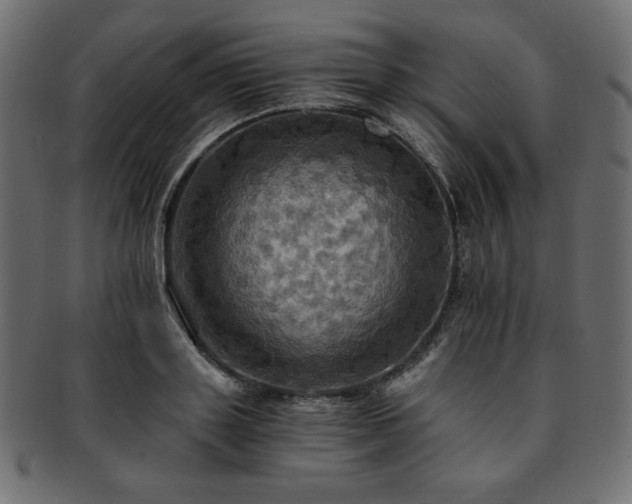 X0000093240843200710031600