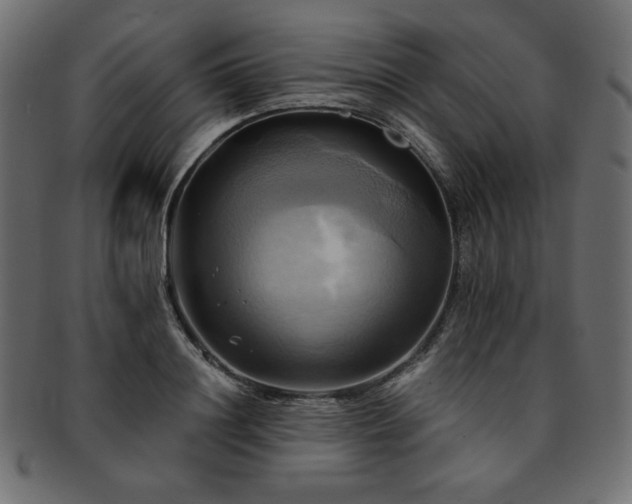 X0000093240844200710031600