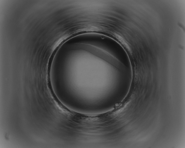 X0000093240845200710031600