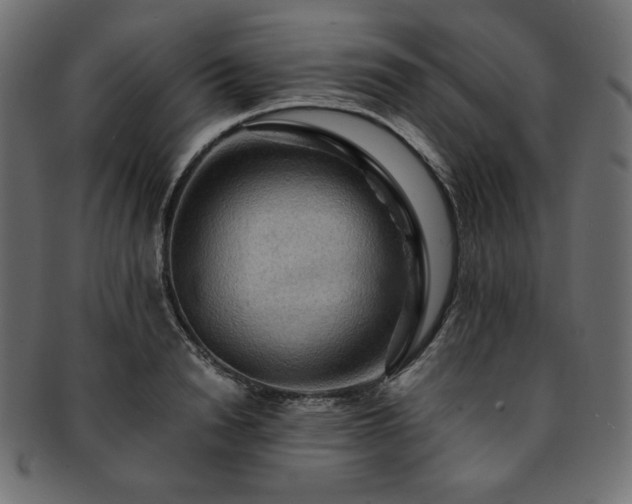 X0000093240846200710031600