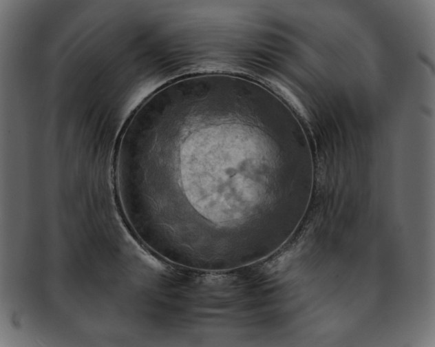 X0000093240847200710031600