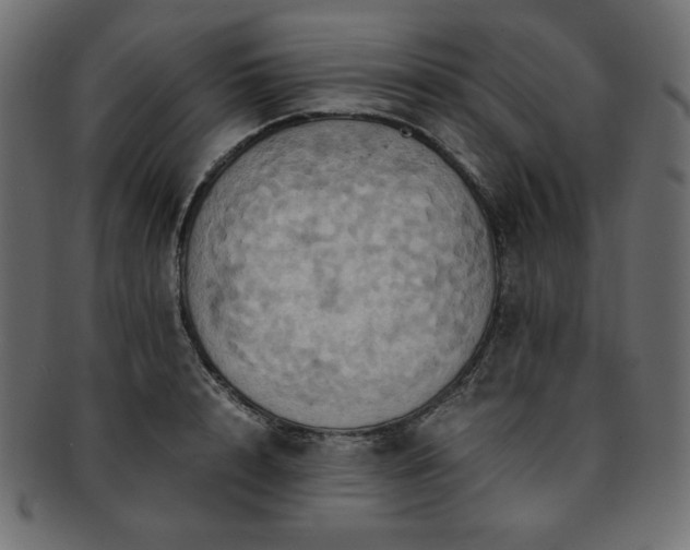 X0000093240848200710031600