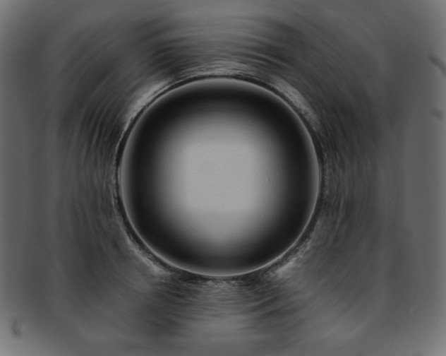 X0000093240850200710031600