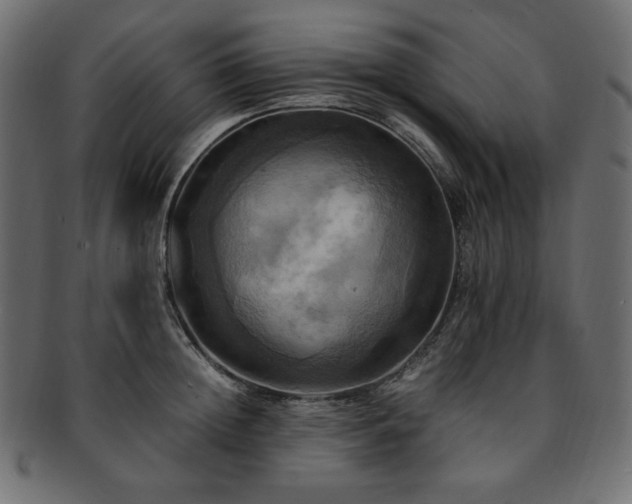 X0000093240852200710031601