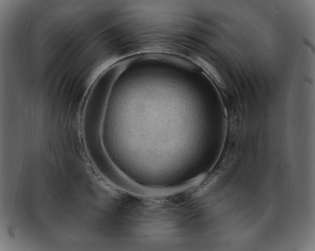 X0000093240854200710031601