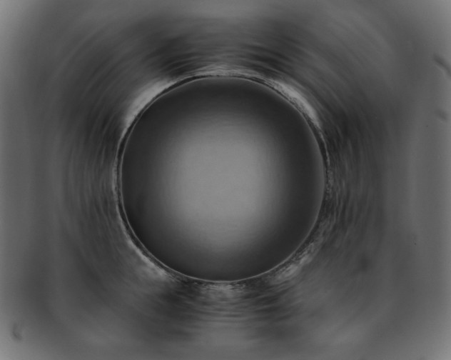 X0000093240855200710031601