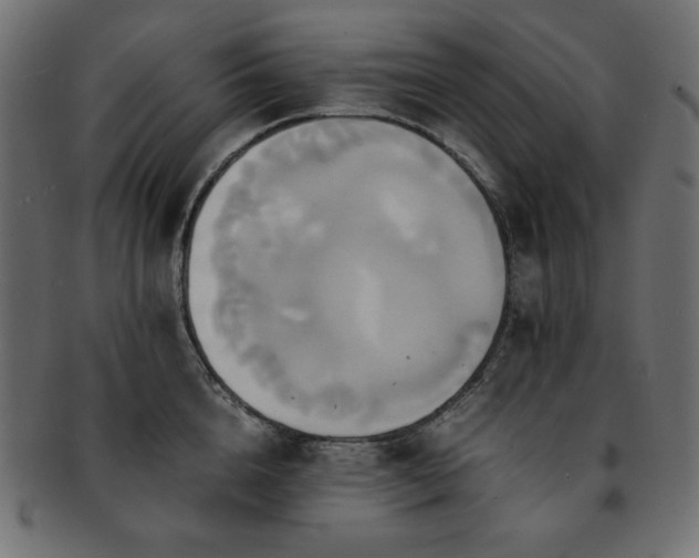 X0000093240856200710031601