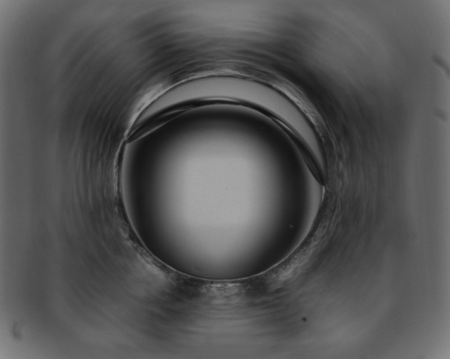 X0000093240858200710031601
