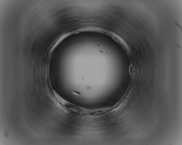X0000093240860200710031601