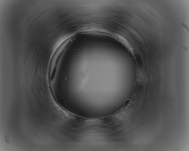 X0000093240863200710031601