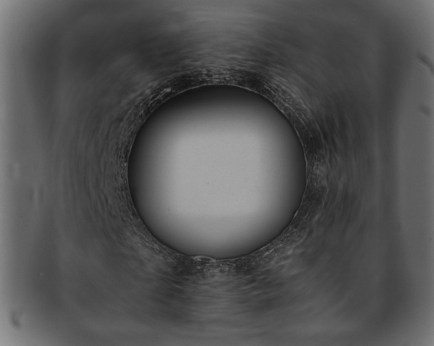 X0000093240865200710031600