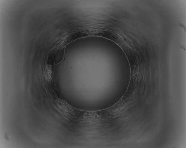 X0000093240866200710031600