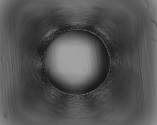 X0000093240869200710031600
