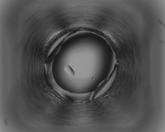 X0000093240872200710031600
