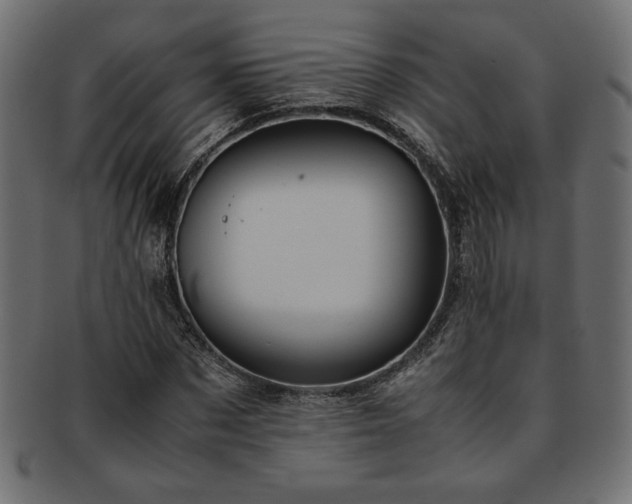 X0000093240873200710031600