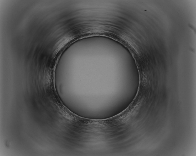 X0000093240874200710031600