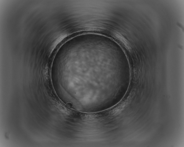X0000093240875200710031600