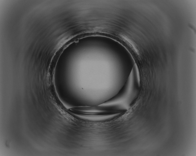 X0000093240876200710031600