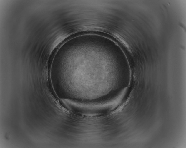 X0000093240877200710031600
