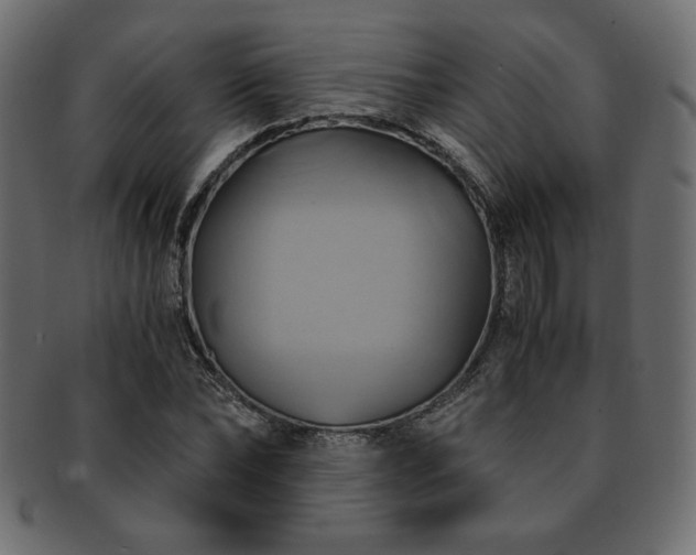 X0000093240878200710031600
