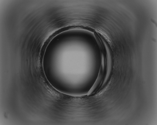 X0000093240880200710031600
