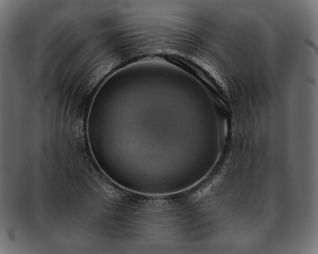 X0000093240881200710031600