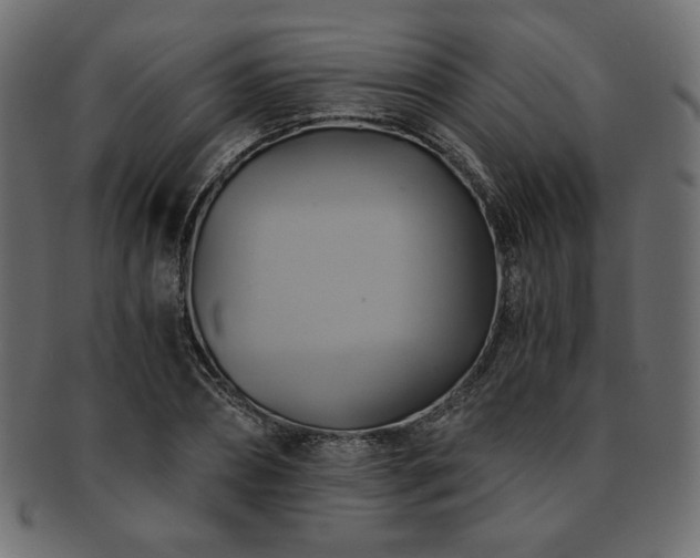 X0000093240882200710031600