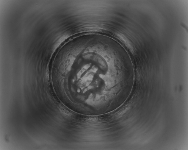 X0000093240883200710031600