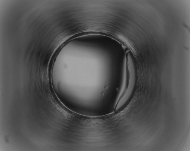 X0000093240884200710031600