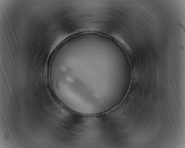 X0000093240886200710031600