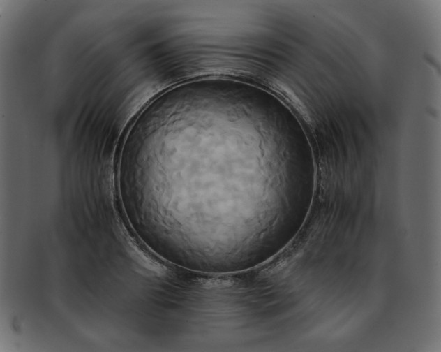 X0000093240890200710031600