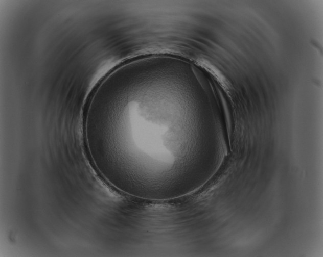 X0000093240894200710031600