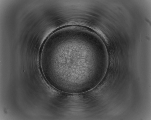 X0000093240896200710031600