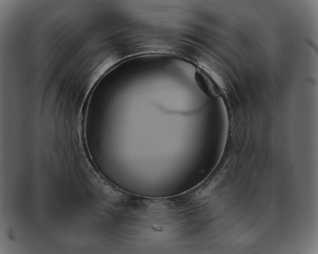 X0000093240899200710031600
