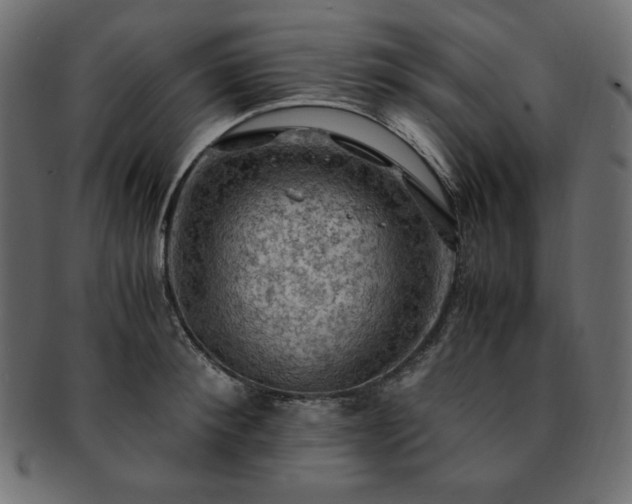 X0000093240900200710031600