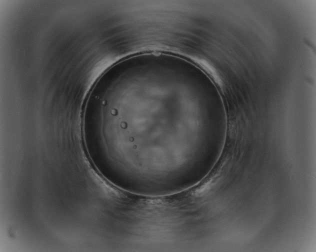 X0000093240903200710031600