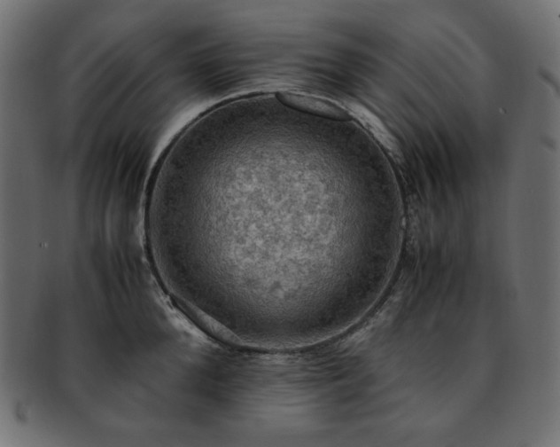X0000093240904200710031600