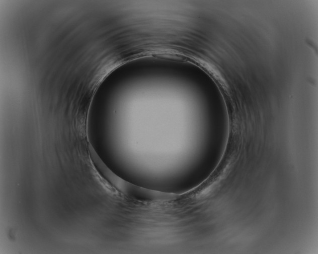 X0000093240905200710031600