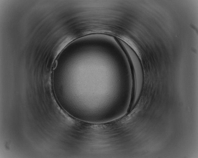 X0000093240906200710031600