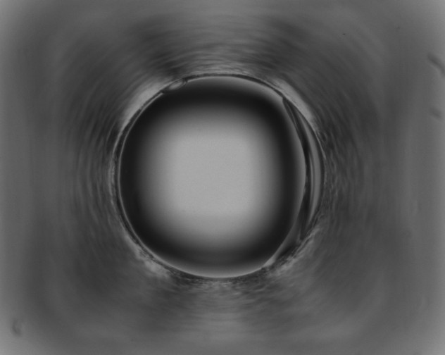 X0000093240909200710031600