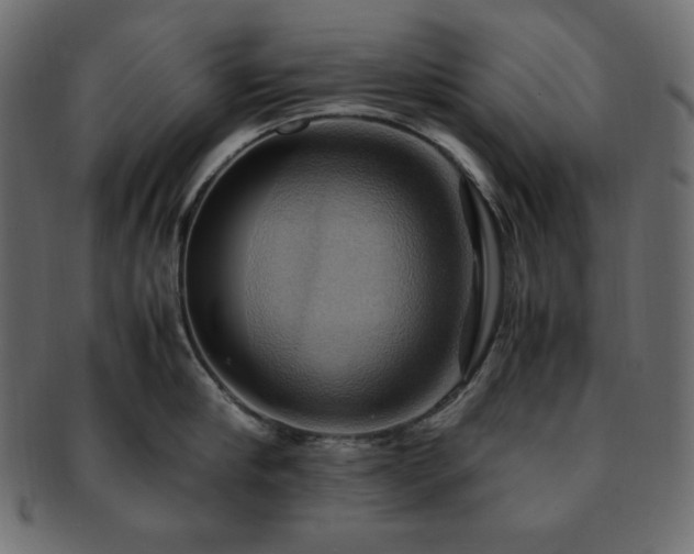 X0000093240910200710031600